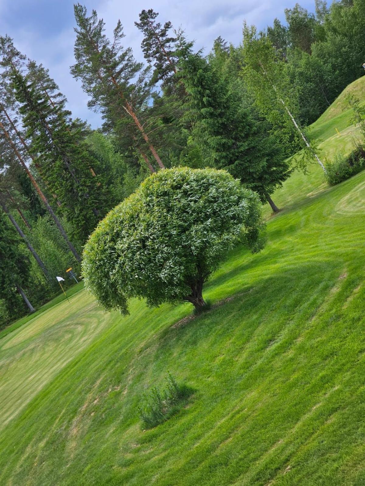 Kesaeaitat Hotel Ähtäri Exterior foto